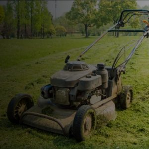 GARDEN TOOLS